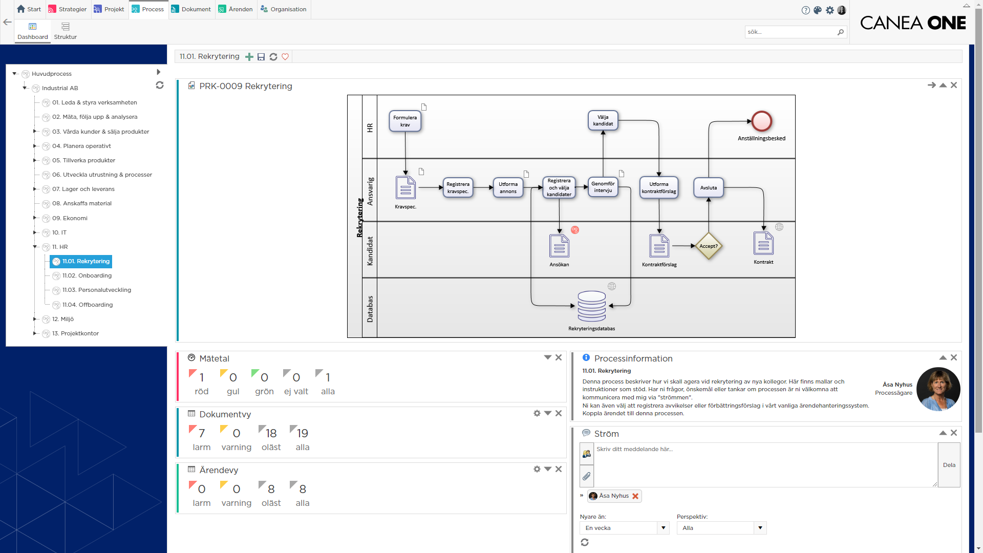 CANEA Process Main SWE