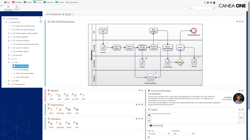 CANEA Process Main SWE