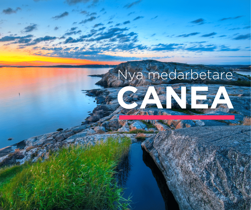 Nya medarbetare
