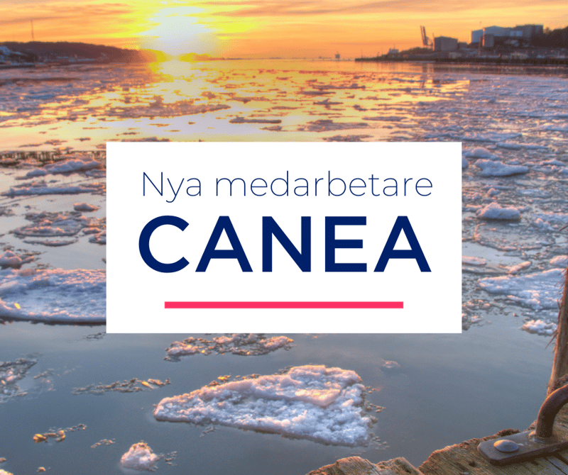 Nya medarbetare