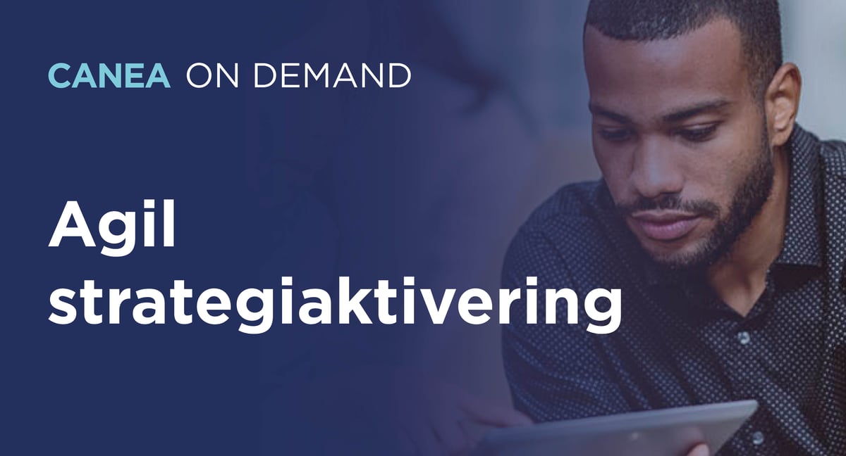Ondemand agil strategiaktivering webb5