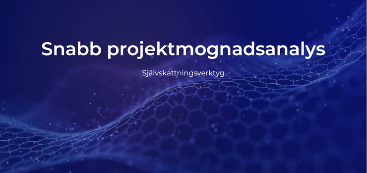 Sjalvskattningsverktyg-1