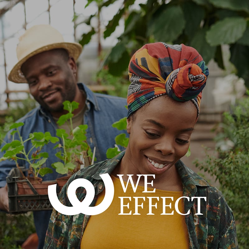 We Effect 1000x1000px