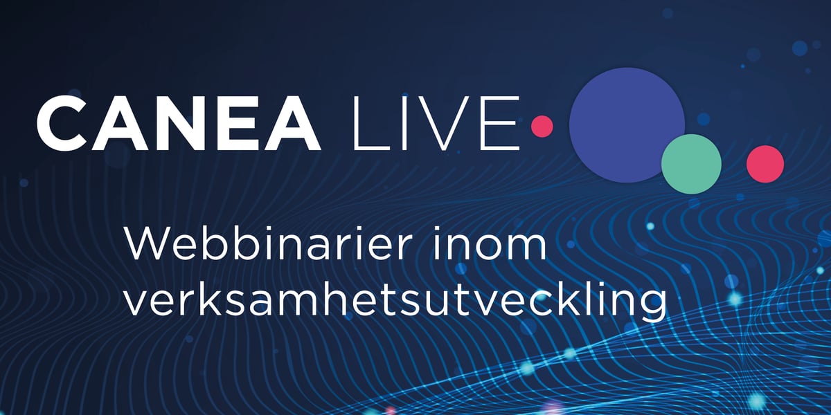 testbanner canea live